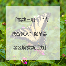 福建三明：“青城合伙人”促革命老区焕发新活力