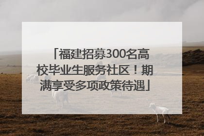 福建招募300名高校毕业生服务社区！期满享受多项政策待遇