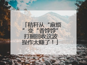 秸秆从“麻烦”变“香饽饽” 打捆回收这波操作太赚了！