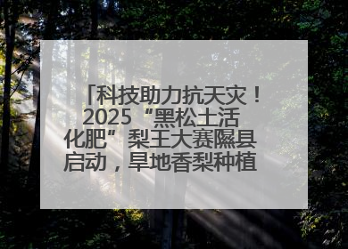 科技助力抗天灾！2025“黑松土活化肥”梨王大赛隰县启动，旱地香梨种植迎来新希望
