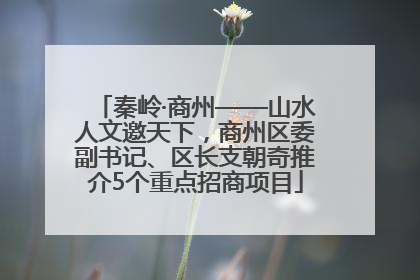 秦岭·商州——山水人文邀天下，商州区委副书记、区长支朝奇推介5个重点招商项目