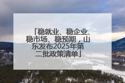 稳就业、稳企业、稳市场、稳预期，山东发布2025年第二批政策清单