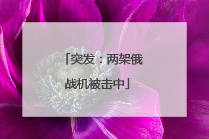 突发：两架俄战机被击中