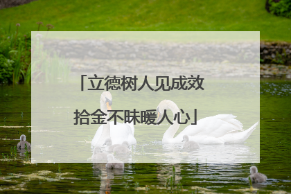 立德树人见成效 拾金不昧暖人心