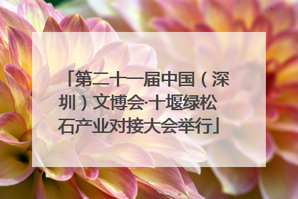 第二十一届中国（深圳）文博会·十堰绿松石产业对接大会举行