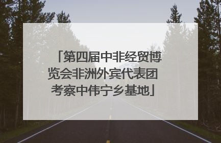 第四届中非经贸博览会非洲外宾代表团考察中伟宁乡基地