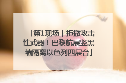 第1现场｜拒撤攻击性武器！巴黎航展竖黑墙隔离以色列四展台