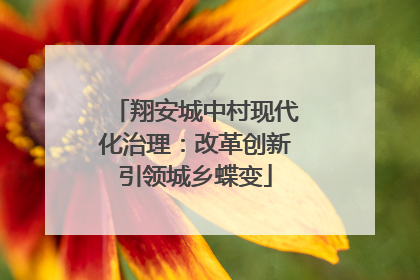 翔安城中村现代化治理：改革创新引领城乡蝶变