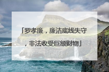 罗孝廉，廉洁底线失守，非法收受巨额财物