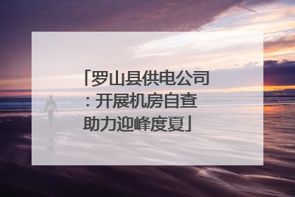 罗山县供电公司：开展机房自查 助力迎峰度夏