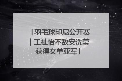羽毛球印尼公开赛｜王祉怡不敌安洗莹 获得女单亚军