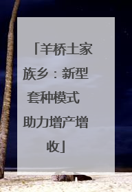 羊桥土家族乡：新型套种模式 助力增产增收