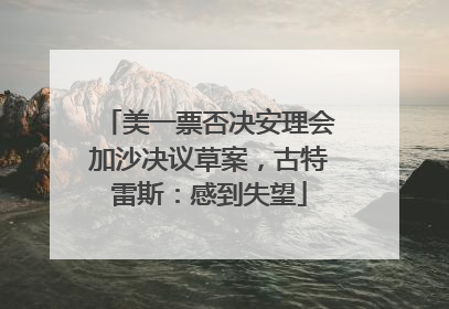 美一票否决安理会加沙决议草案，古特雷斯：感到失望