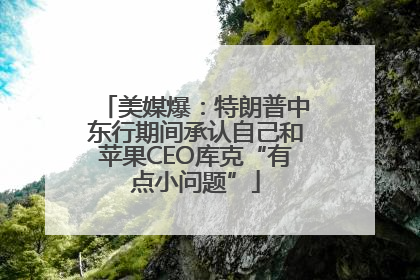 美媒爆：特朗普中东行期间承认自己和苹果CEO库克“有点小问题”