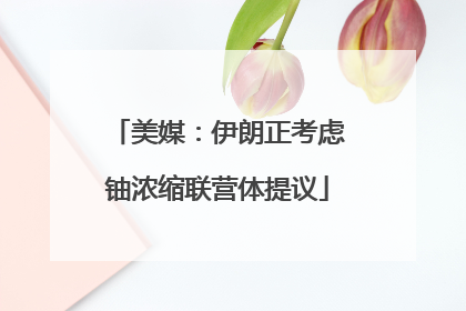美媒：伊朗正考虑铀浓缩联营体提议