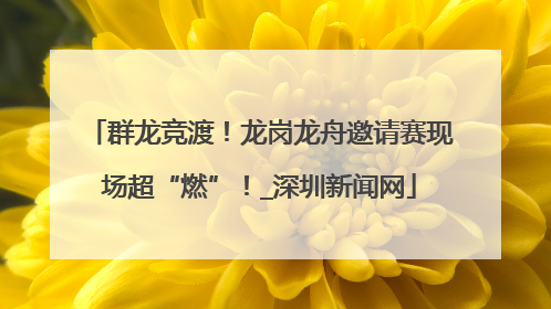 群龙竞渡！龙岗龙舟邀请赛现场超“燃”！_深圳新闻网