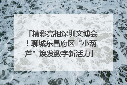 精彩亮相深圳文博会！聊城东昌府区“小葫芦”焕发数字新活力