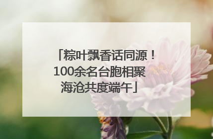 粽叶飘香话同源！100余名台胞相聚海沧共度端午