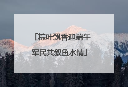 粽叶飘香迎端午 军民共叙鱼水情