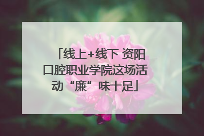 线上+线下 资阳口腔职业学院这场活动“廉”味十足