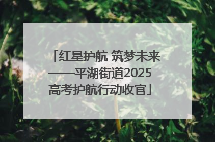 红星护航 筑梦未来——平湖街道2025高考护航行动收官