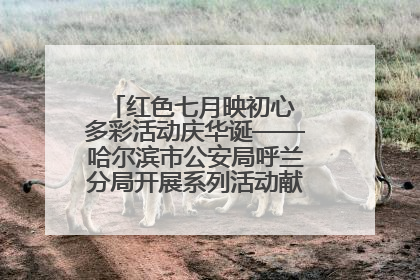 红色七月映初心 多彩活动庆华诞——哈尔滨市公安局呼兰分局开展系列活动献礼党的生日