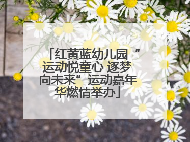 红黄蓝幼儿园“运动悦童心 逐梦向未来”运动嘉年华燃情举办