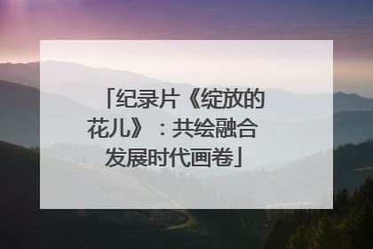 纪录片《绽放的花儿》：共绘融合发展时代画卷