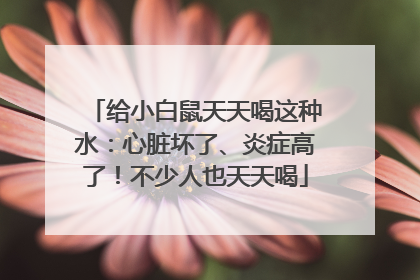 给小白鼠天天喝这种水：心脏坏了、炎症高了！不少人也天天喝