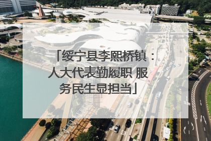 绥宁县李熙桥镇：人大代表勤履职 服务民生显担当