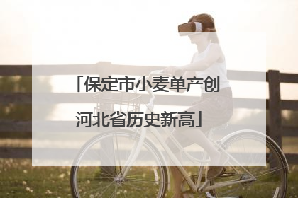 保定市小麦单产创河北省历史新高