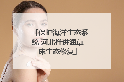 保护海洋生态系统 河北推进海草床生态修复