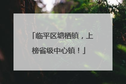 临平区塘栖镇，上榜省级中心镇！