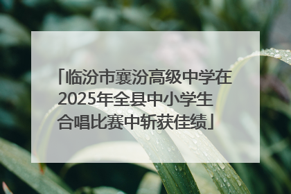 临汾市襄汾高级中学在2025年全县中小学生合唱比赛中斩获佳绩