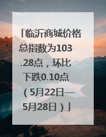 临沂商城价格总指数为103.28点，环比下跌0.10点（5月22日—5月28日）