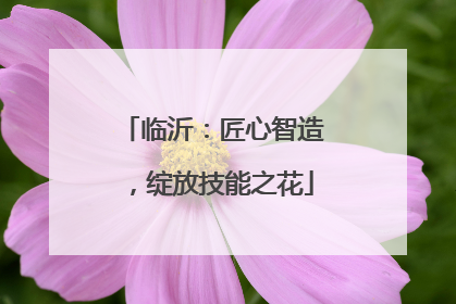 临沂：匠心智造，绽放技能之花