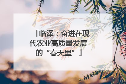 临泽：奋进在现代农业高质量发展的“春天里”