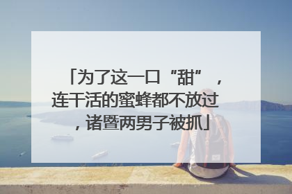 为了这一口“甜”，连干活的蜜蜂都不放过，诸暨两男子被抓