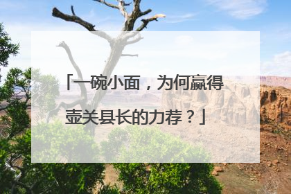 一碗小面，为何赢得壶关县长的力荐？