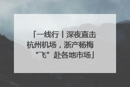 一线行丨深夜直击杭州机场，浙产杨梅“飞”赴各地市场
