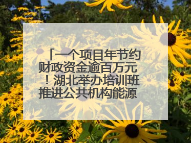 一个项目年节约财政资金逾百万元！湖北举办培训班推进公共机构能源费用托管工作