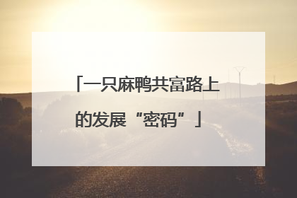 一只麻鸭共富路上的发展“密码”
