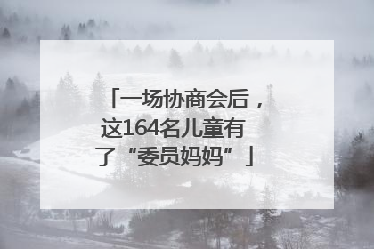 一场协商会后，这164名儿童有了“委员妈妈”