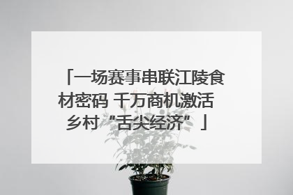 一场赛事串联江陵食材密码 千万商机激活乡村“舌尖经济”