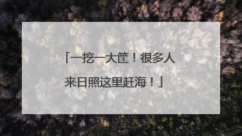 一挖一大筐！很多人来日照这里赶海！