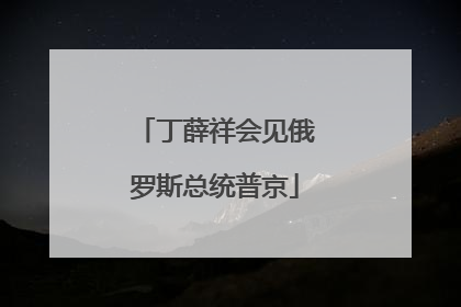 丁薛祥会见俄罗斯总统普京