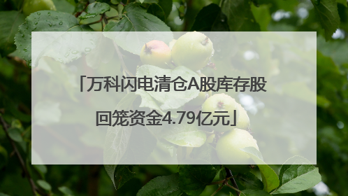 万科闪电清仓A股库存股 回笼资金4.79亿元