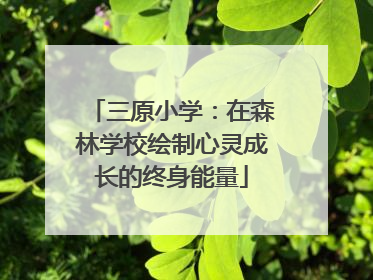 三原小学：在森林学校绘制心灵成长的终身能量