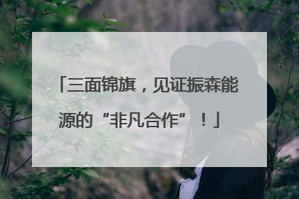三面锦旗，见证振森能源的“非凡合作”！