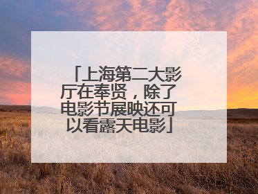 上海第二大影厅在奉贤，除了电影节展映还可以看露天电影